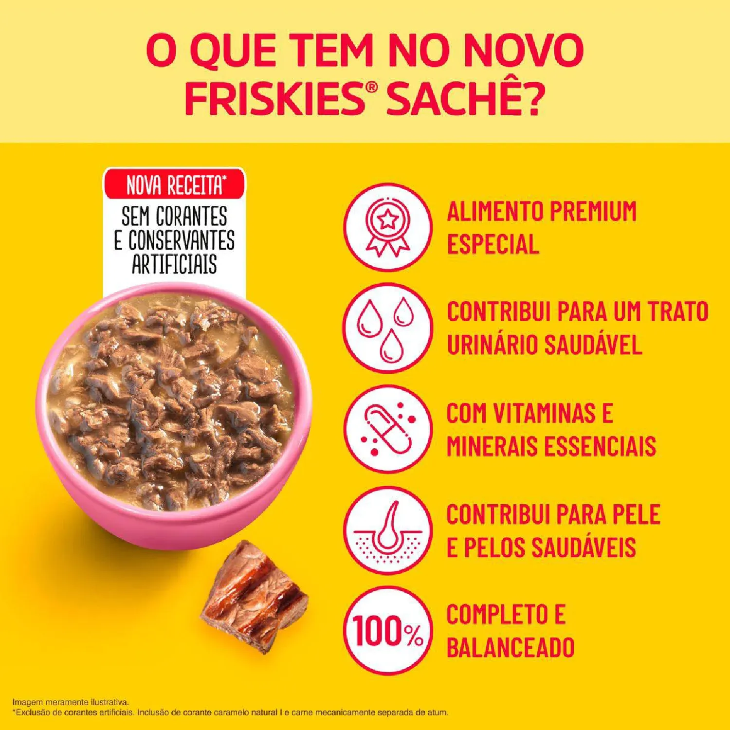 Ração Úmida Friskies Gatos Filhotes Carne ao molho